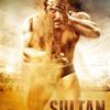 09 Rise of Sultan (Shekhar Ravjiani) 190Kbps