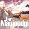 Teri Maujoodgi - Ash King