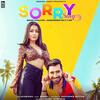Sorry Song - Neha Kakkar
