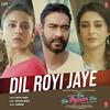 Dil Royi Jaye - De De Pyaar De